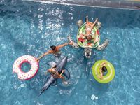 Intex Sea Turtle Realistic Giant Ride-On 57555