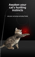 pet products Interactive LED telescopic pole cat teaser stick