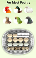 Automatic Egg Incubator 16-30 Eggs Chicken Duck Poultry Hatcher Breeder Candler