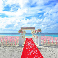 10M Red Carpet Aisle Runner Awards Night Casino Wedding Party Event Mats Decor
