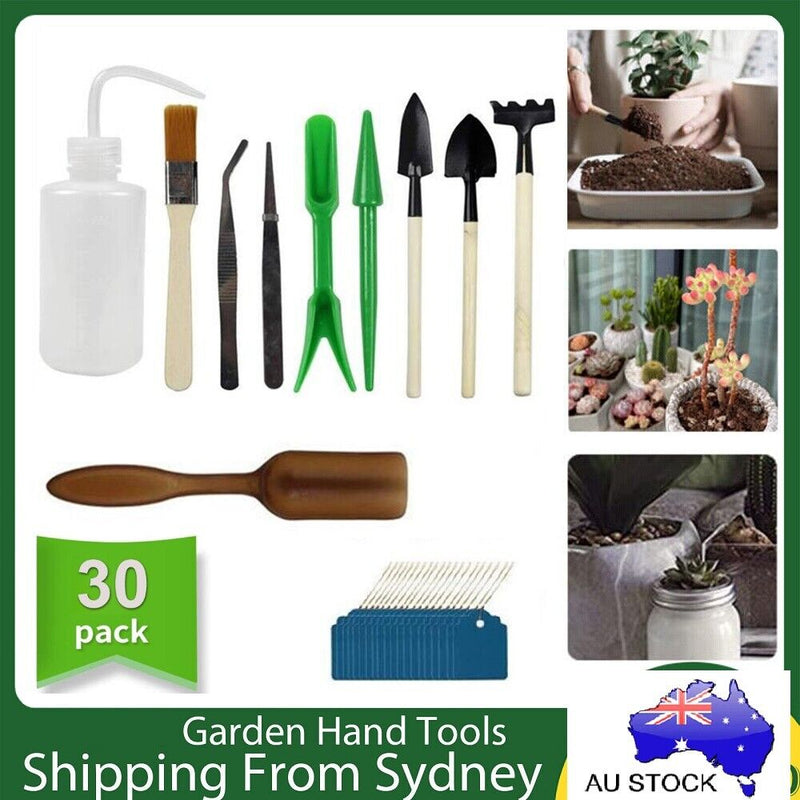 30X Mini Garden Hand Tools Transplanting Succulent Plant Gardening Tool Rake Set Kings Warehouse Australia