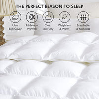 Goose Feather Down Quilt 700 GSM Duvet DoonasQueen:210x210cm