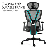Fortia Ergonomic Office Desk Chair, Coolmesh Fabric, Adjustable Lumbar Support, Headrest, Armrest and Recline, Black Mesh/Black Frame