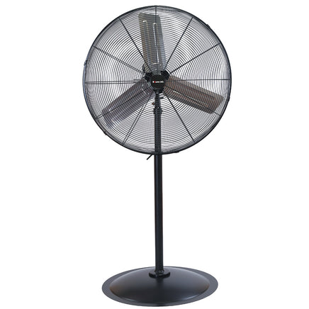 BAUMR-AG 30" 762mm 300W Industrial Pedestal Fan, Large, Commercial, Heavy-duty, 3 Speed, EESS Certified