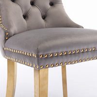 AADEN 2x Velvet Dining Chairs with Golden Metal Legs-Grey