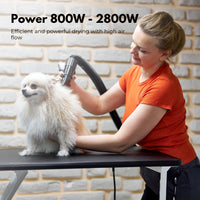 Floofi Pet Hair Dryer Advance (White) FI-PHD-105-DY