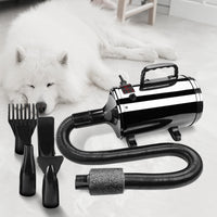 Floofi Pet Hair Dryer Basic (Black) FI-PHD-100-DY