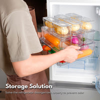 GOMINIMO 10 Pack Clear Stackable Fridge Organiser Bins with Lids (Transparent) GO-STO-103-ZG