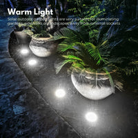 NOVEDEN 12 Pack Waterproof Solar LED Light (White) NE-SL-107-ZL