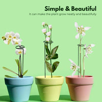 Noveden 10pcs Set Plant Flower Stake Single Stem Support Home Garden Stick Green