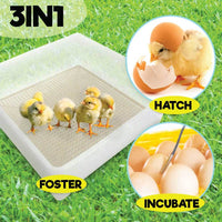 Electric 112 Egg Incubator + Accessories Hatching Eggs Chicken Quail Duck