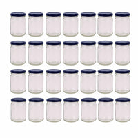 28x 250ml Flint Glass Jars +  Twist Lids - Round Food Storage Small Spices