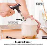 200x Kitchee Coconut Opener - Stainless Steel Hole Punch Kitchen Tool