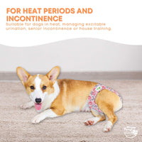 Rooster Farms Female Dog Diapers Small 3Pk - Washable Reusable Nappies Hook/Loop