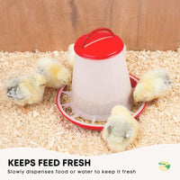 6Kg Automatic Chicken Feeder - Plastic Poultry Chook Hen Feeding Seed Bucket