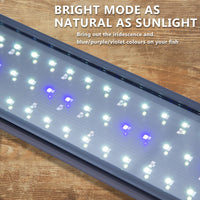 11W Aquarium Blue White LED Light for Tank 50-70cm