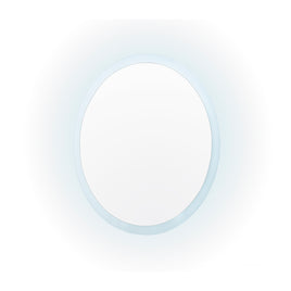 LED Wall Mirror Round Anti-Fog Bathroom 50cm