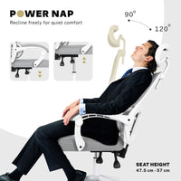 Ergonomic Reclining Office Chair - Lumbar Support, Adjustable Headrest VELTRA - GREY