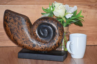 Decorative hand carved wooden shell on stand