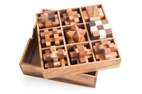 Wooden brain teaser puzzle gift box - 9 individual mechanical puzzle set in own box