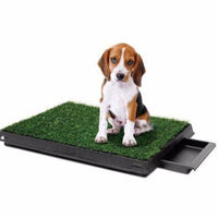 Indoor Dog Toilet Grass Potty Training Mat Loo Pad pad with 3 grass