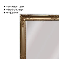 French Provincial Ornate Mirror - ANTIQUE CHAMPAGNE - X Large 100cm x 190cm