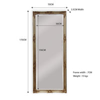 French Provincial Ornate Mirror - Champagne - Medium 70cm x 170cm