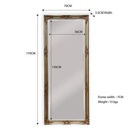 French Provincial Ornate Mirror - Champagne - Medium 70cm x 170cm