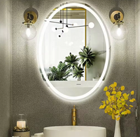 Interior Ave - LED Oval Frameless Salon / Bathroom Wall Mirror - 50 x 70cm