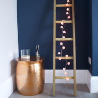20 Pink Rose 3D Fairy Lights 3M String, Battery (AA) Indoor & Outdoor Decorations Wedding Valentines Romantic Room Table Lighting