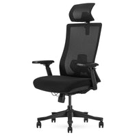 Fitness DM9 Ergonomic Mesh High Back Office Chair