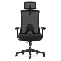 Fitness DM9 Ergonomic Mesh High Back Office Chair