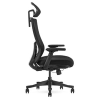 Fitness DM9 Ergonomic Mesh High Back Office Chair