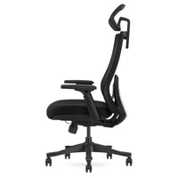 Fitness DM9 Ergonomic Mesh High Back Office Chair