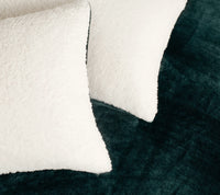 2-in-1 Teddy Sherpa Quilt Cover Set (Emerald Green, Super King)