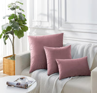 Twin-Pack Velvet Cushion Covers - Soft Microfibre Cushion Covers with Hidden Zipper (Blush, 65cm*65cm)