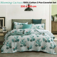 100% Cotton Lightly Quilted Coverlet Set Blooming Cactuses Cream Queen