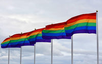 DELUXE RAINBOW GAY PRIDE FLAG Outdoor Banner 150x90cm 3x5ft with Metal Eyelets