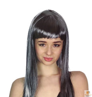 LONG WIG Straight Party Hair Costume Fringe Cosplay Fancy Dress 70cm Womens - Grey (22467)