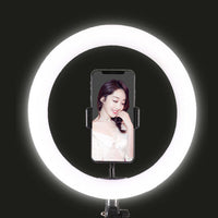 LED Selfie Ring Light with Tripod Stand & Cell Phone Holder for Live Stream/Makeup