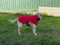 Pet Dog Raincoat Poncho Jacket Windbreaker Waterproof Clothes with Harness Hole-XS-Red