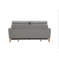 SHASA 2 Seater Pull-out Sofa bed Grey celadon