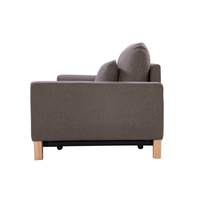SHASA 2 Seater Pull-out Sofa bed Grey taupe