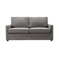 RAY 2 Seater Sofa bed with Separate Foam Mattress- Dark grey