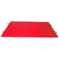 Gym Mat Gymnastics Martial Arts Karate Gym Mat Yoga Wrestling