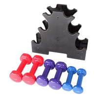 6-Piece Dumbbell Set with Rack