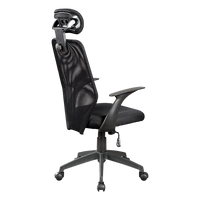 Ergonomic Mesh Office Chair