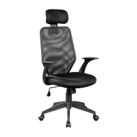 Ergonomic Mesh Office Chair