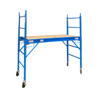 Mobile Safety High Scaffold / Ladder Tool -450KG