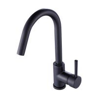 Kitchen Mixer Tap Faucet for Basin Laundry Sink